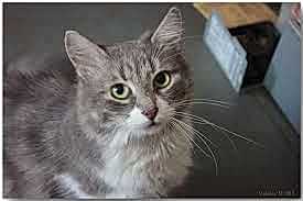 клининговая компания отзывы